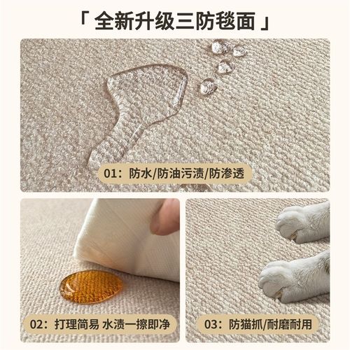 高级感入户门地垫家用大门口防滑脚垫子进门玄关耐脏除尘免洗地毯