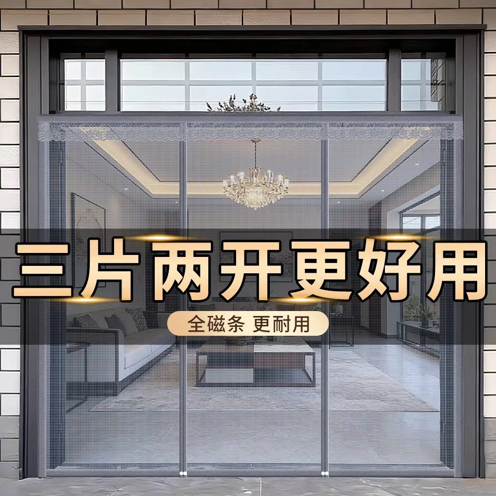 2026三片两开大门专用防蚊门帘子图片