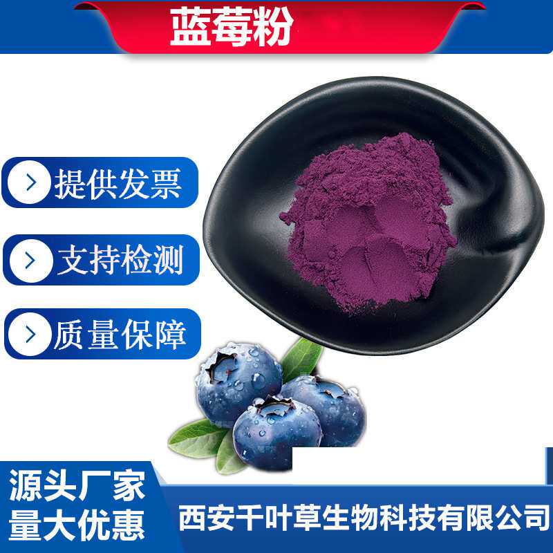 蓝莓粉 蓝莓汁粉蓝莓果粉喷雾干燥粉食品级蓝莓粉厂家包邮