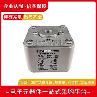 170M5597 170M5593 170M5596 170M5595 170M5598熔断器 170M5594