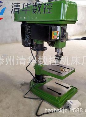 台式钻床 Z512B Z516 Z4116 Z4119小型台式钻床 立式钻床工业台钻