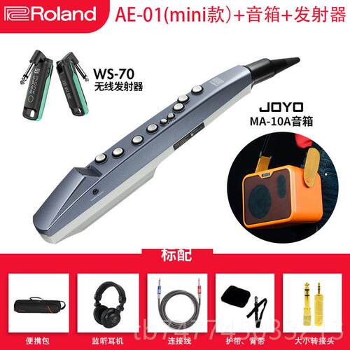 新款Roland罗电吹乐器AE0兰1C AE05电萨克斯娱乐初学管子管乐葫芦