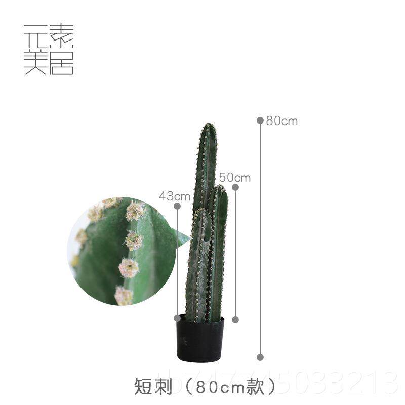 新款超大INS网仿真仙摆人掌家居客厅落地大型墨西柱哥量天红尺仙