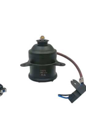 源头厂家 ：MOTOR Del Ventilador 19030-REA-Z01 Per A H0NDA