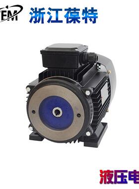 葆特铝壳油压马达三相卧式液压内轴电机VP20油泵电机组接线盒向上