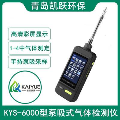 KYS-600型2680 泵式有机吸化合物气体检测仪 挥发性气体测定仪