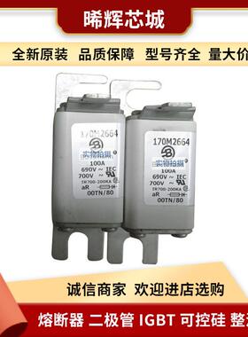 巴斯曼170M3987170H0236直流快速熔断器原装量大从优电子元器件