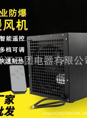 BGP2103-30-C 档速可调过热保护智能遥控工业防爆暖风机