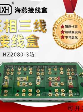 HY-3J/NZ2080-3型(防窃电) 三相三线电能计量联合接线盒-53