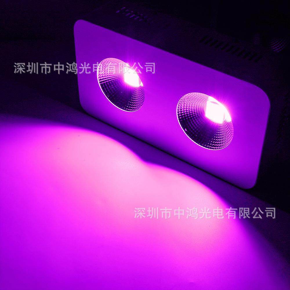 温室大棚种植室内植物补光全光谱600W COB LED植物生长灯,模玩/动漫/周边/娃圈三坑/桌游,模型制作工具/辅料耗材,淘宝优惠券,粉丝福利购,淘宝优惠卷