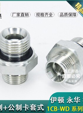 1CB 1DB 1CM 1DM液压卡套接头转英制管螺纹胶垫24密封永华接头