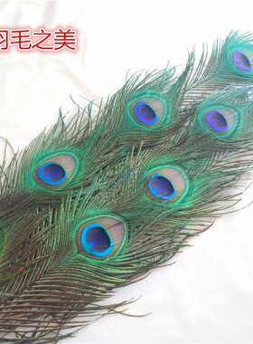 家居饰品摆件孔雀羽毛纯天然真孔雀毛花瓶装饰品孔雀翎尾婚庆羽毛