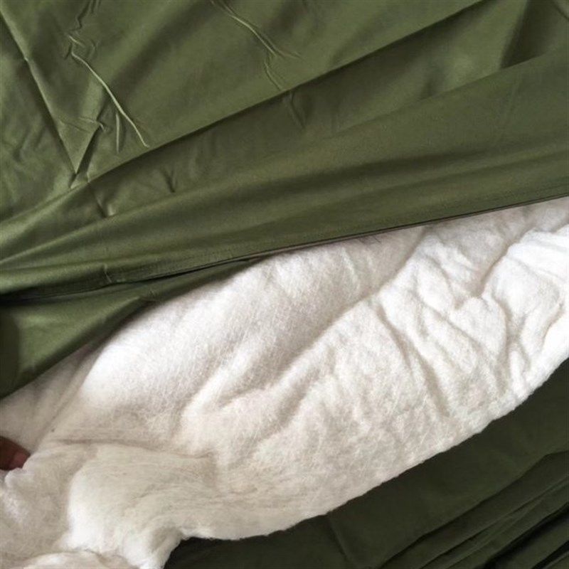 军绿色被子冬被加厚保暖学生宿舍单人用冬季棉被春秋工地棉褥子,床上用品,棉花被,淘宝优惠券,粉丝福利购,淘宝优惠卷