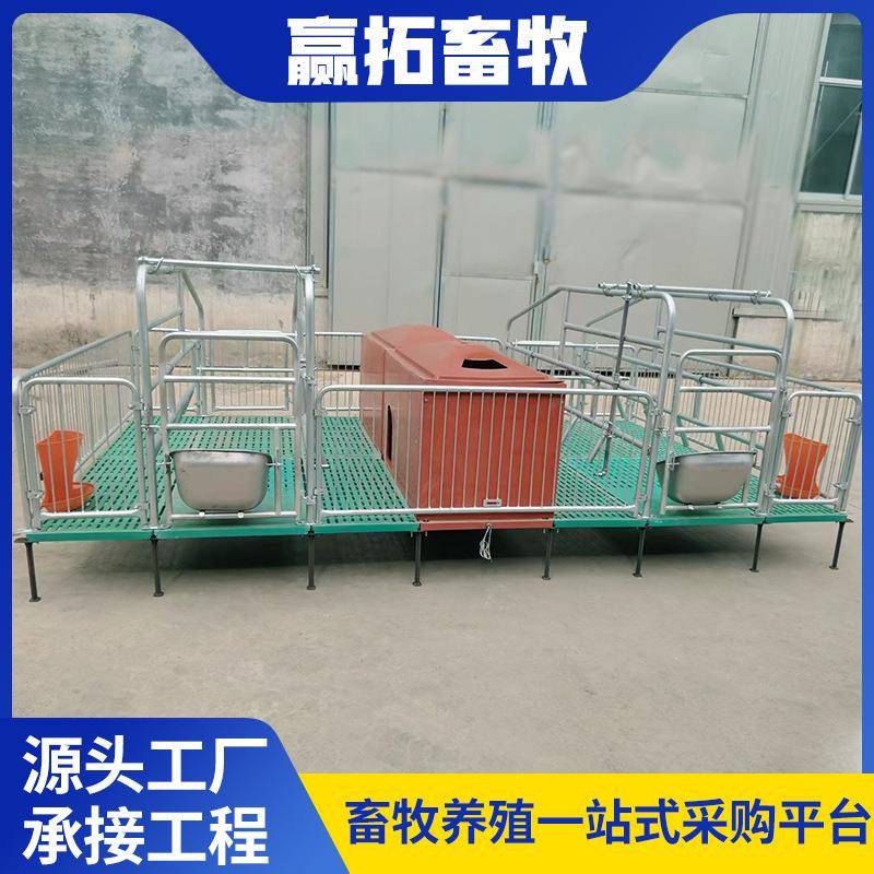 母猪产床畜牧养殖产保两用猪娩猪产仔床母猪分床小床EBA复合双体