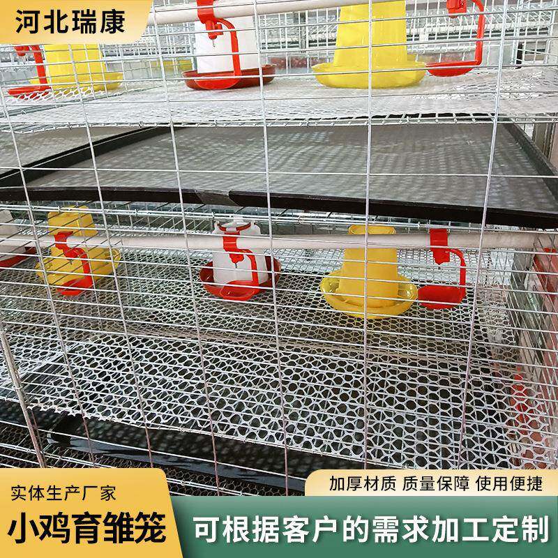 雏雏鸡笼育子小鸡笼粗加密养殖笼三层四层立式大型FML养殖场笼加
