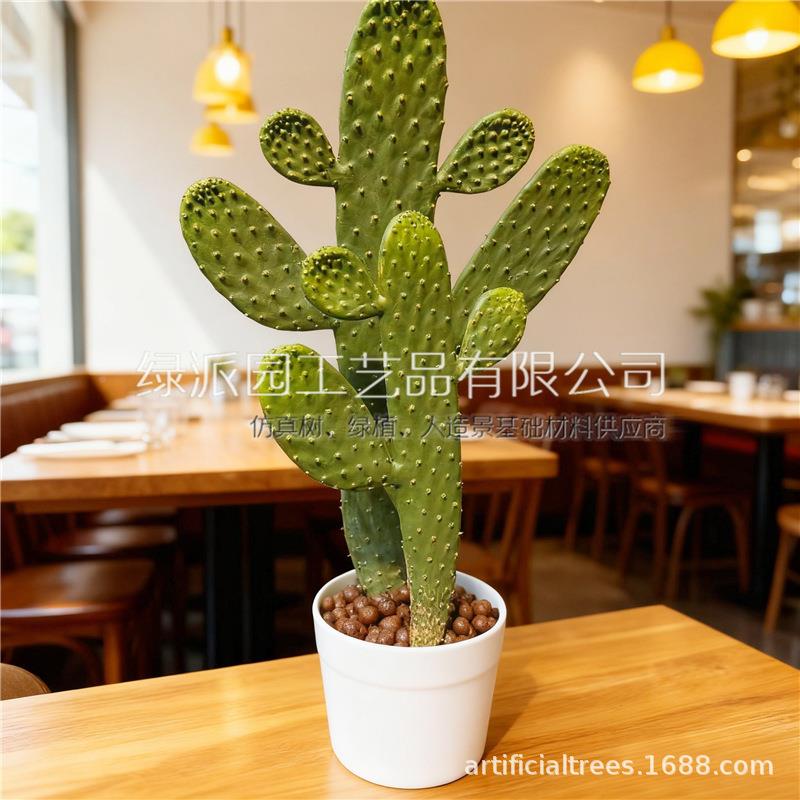 多肉仙人绿掌盆0001栽盆景仙人棒热植物假布景装饰花植摆件布带景
