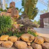 黄蜡石景园林观石假石山石黄水石鱼250627池驳黄岸黄色鹅卵石