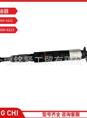 电装喷油器总成095000-6222 095000-6223 适用CA6DL1发动机