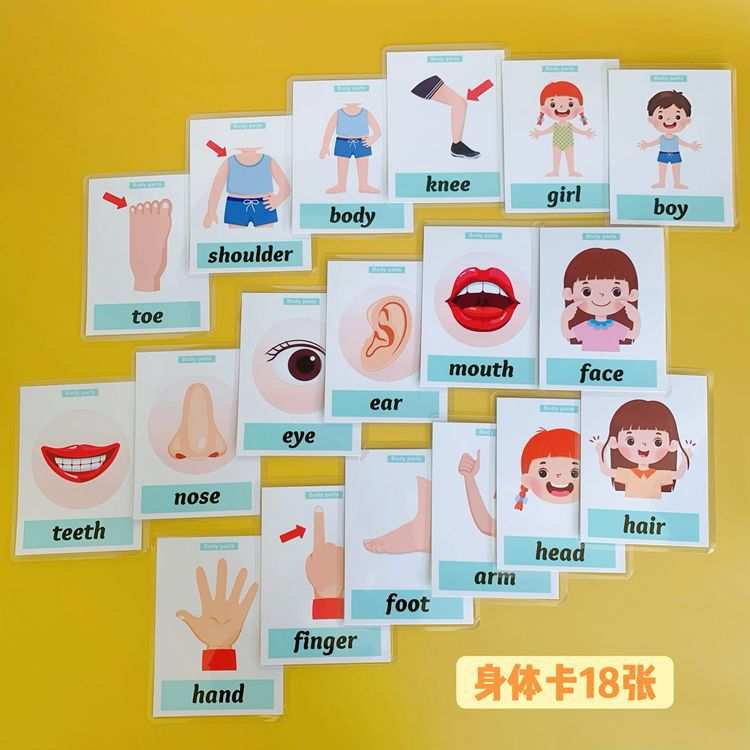 单词卡片塑封益智动物英语启蒙防水彩图教学闪卡早教幼儿园卡水果