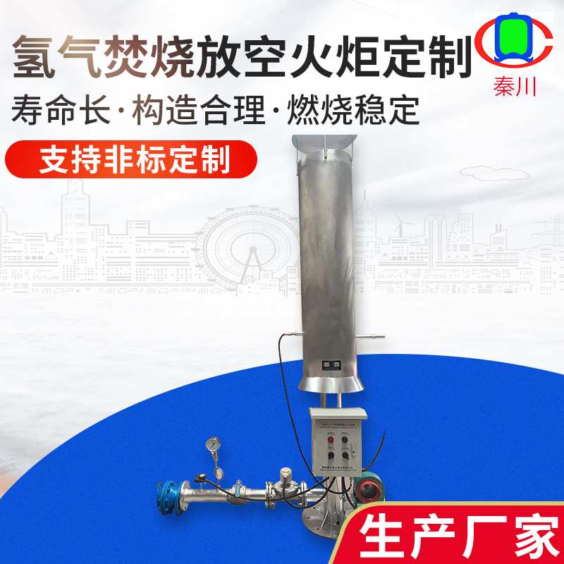 氢气焚烧放散火炬设备 火炬放散内嵌PLC 尾气全自动催化点火控制