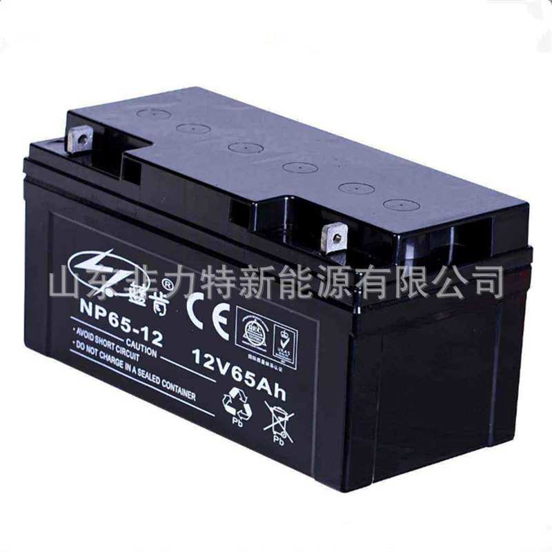 蓝肯蓄电池NP40-12 12V40AH精密仪器 煤矿 电厂备用铅酸电池