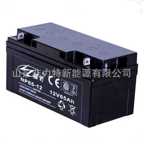 蓝肯蓄电池NP40-12 12V40AH精密仪器 煤矿 电厂备用铅酸电池