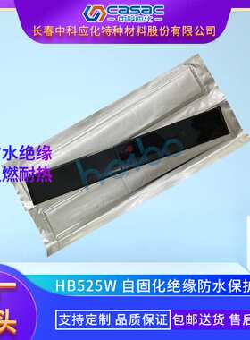 casac/中科应化  自固化绝缘防水保护片 绝缘包材 厂家直销 1片