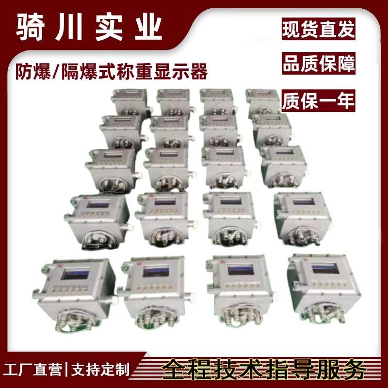 隔爆型称重显示器Ex系列BT6粉尘气体带4-20毫安模拟量式控制仪表