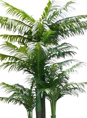 热带槟榔树饰23098塑料树大型落地栽店假树酒餐厅装植物盆树仿真