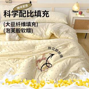 大豆芯纤被子冬被2RMW025新春秋被维加厚保暖被学款 生单人被四季