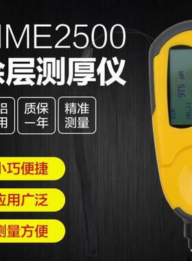 漆膜仪 时代TIME2500涂层测厚仪(原TT220)油漆测厚仪镀锌层测厚仪