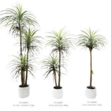 含阳仿真丝兰树盆栽绿植样板房客厅大型落地装饰植物盆景摆件造景