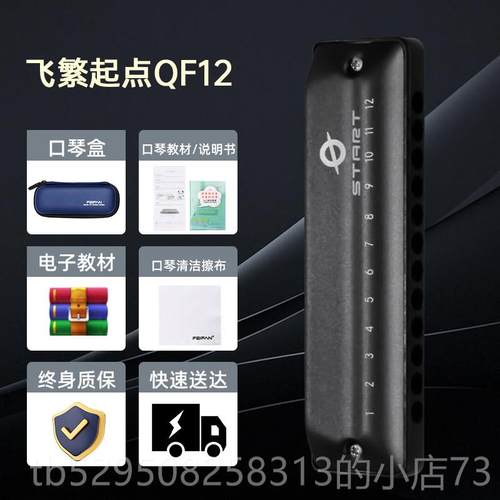 高档FIFN飞繁12孔布鲁A斯口琴全a音阶低E音带FLa初学者成人专业演