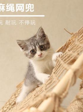宠物猫爬麻架猫实木绳攀爬耐磨78198602抓柱猫窝三角猫网跳台小型
