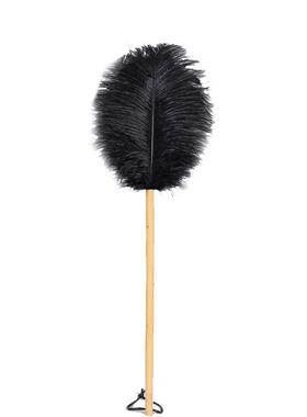 IRY788鸡毛掸子拂尘孔雀鸵毛湘妃竹长柄除尘掸卧室鸟静7电扫灰房