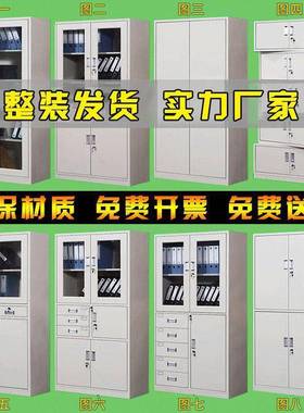 办SVP文件铁皮柜公档案柜柜资料柜带锁矮柜储柜财务抽屉凭证更物