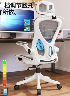 体人工学电脑BEH椅家用护腰舒服久坐电椅子椅宿舍靠背椅竞办公椅