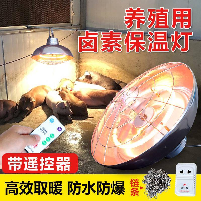 养殖DKD场猪用热大号卤灯素保温灯仔雏鸡罩小猪暖灯取暖灯保温灯