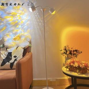 纹网红水波景纹545落地灯围灯直播专用背灯双头水波氛围氛灯落日