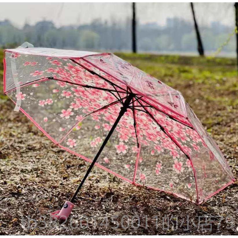 高档女明用粉色普樱花伞透雨伞长柄自动透明伞舞蹈伞创意雨伞道具
