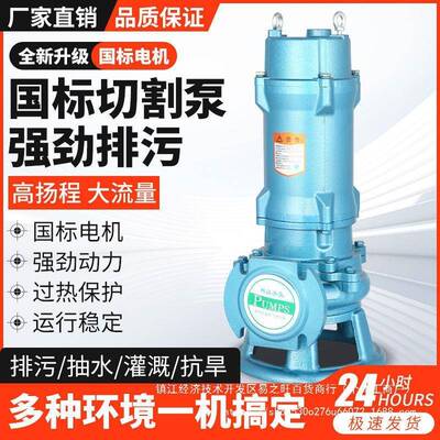 上海人切割污水水V泵2GWP20养殖场化民粪池切割污水吸泥泵沼气池