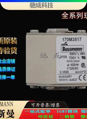 巴斯曼170M3512 170M3513 170M3514 厂家原装优价供应 快速保险丝