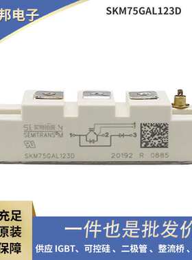 SKM50GAL128D SKM75GAL128D SKM100GAL128D原盒原包高压IGBT