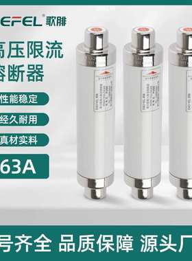 高压熔断器XRNT-12/50A63A80A100A125A高压柜户内用喷射式保险丝