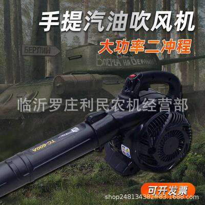 厂销两冲程0手提式6A汽吹风机鼓风机吹雪机EB260A吹叶森林油防2火