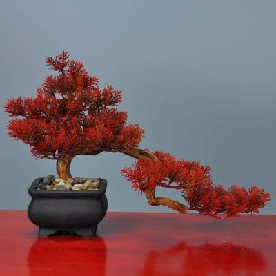 中式仿松真绿植新盆崖柏迎客M00071植物工景艺品摆件家居样板间软