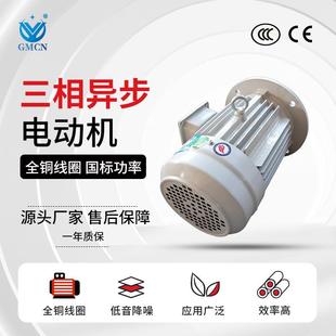 66L交流电动机机械工业设备用 18.5K电机 80L 三相异步Y5E1JEE