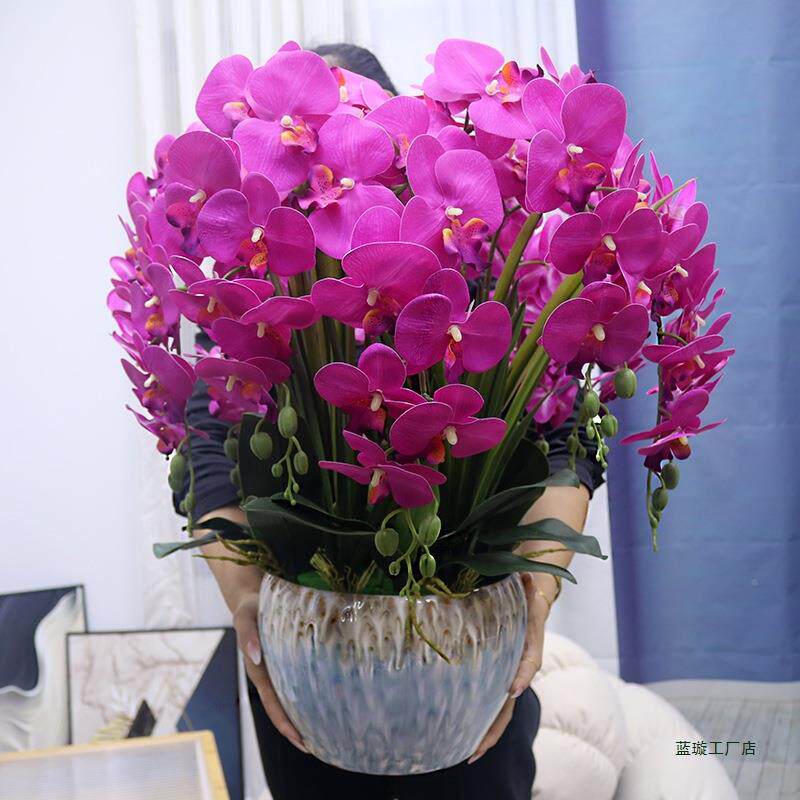 特视大手号感pu蝴蝶司兰花客厅装饰花电柜玄关假花公前台F985TT57