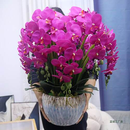 特视大手号感pu蝴蝶司兰花客厅装饰花电柜玄关假花公前台F985TT57