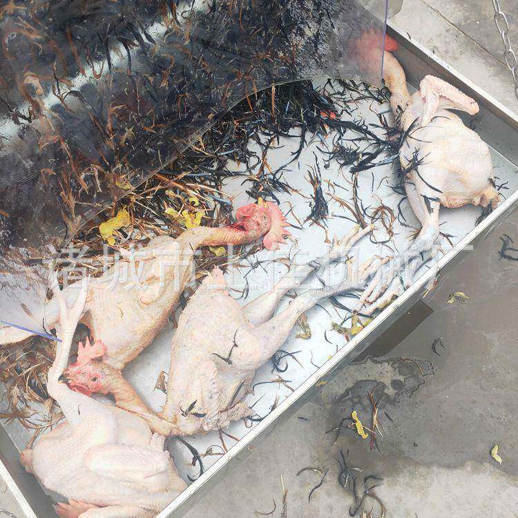 全自动不锈号钢褪同毛机不型干家禽SCX鸡鸭鹅电动脱毛机脱毛净